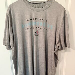 Gray Arizona Diamondbacks Spring Training Shirt